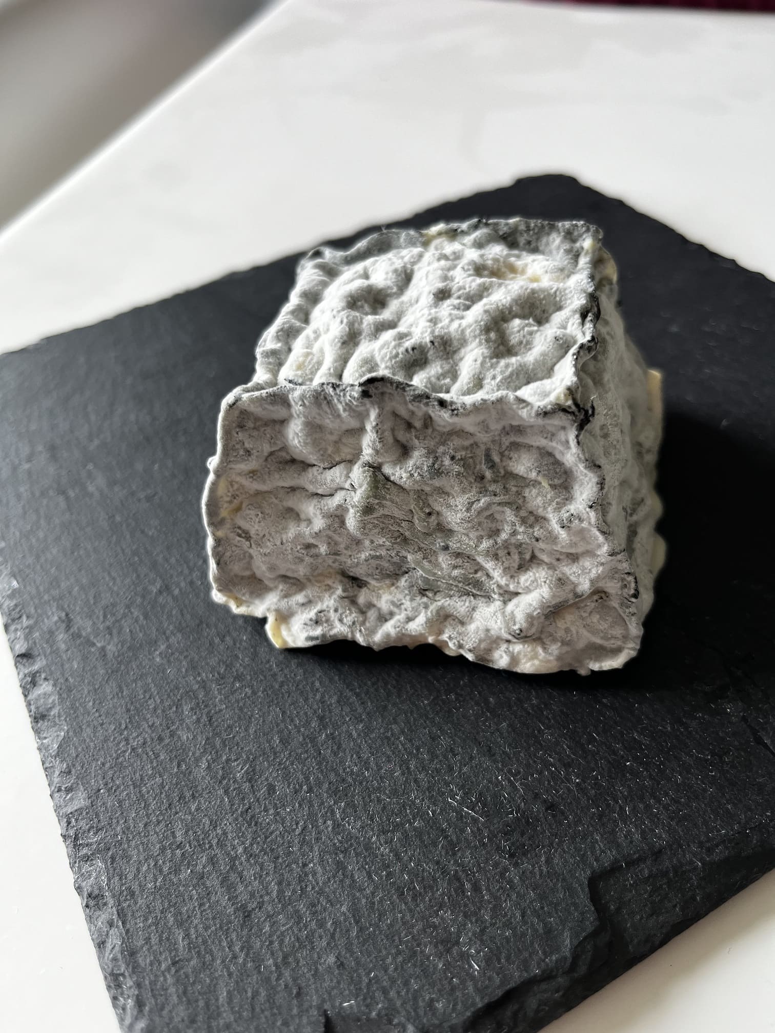 Crottin de chèvre cendré